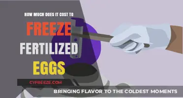 The Cost of Preserving Fertility: A Guide to Freezing Fertilized Eggs
