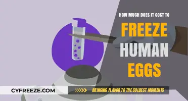 The Cost of Preserving Fertility: A Guide to Egg Freezing Expenses
