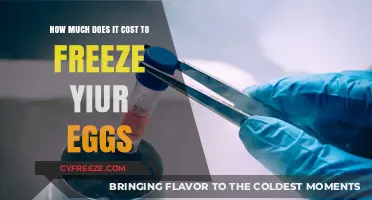 The Cost of Egg Freezing: A Comprehensive Guide