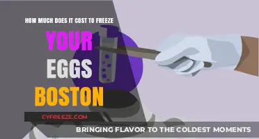 Egg Freezing Costs in Boston: A Comprehensive Guide