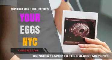 Egg Freezing Costs in NYC: What to Expect Financially