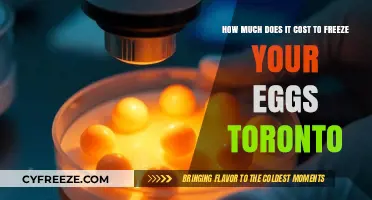 Egg Freezing in Toronto: Understanding the Costs Involved