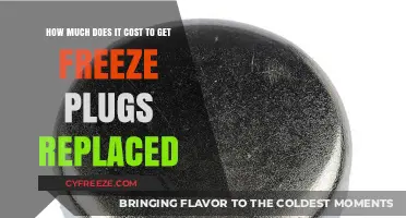 Freeze Plug Replacement Cost: What to Expect for Your Vehicle