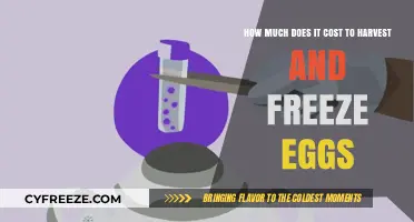 Egg Freezing Costs: Harvesting and Preserving Your Future Fertility
