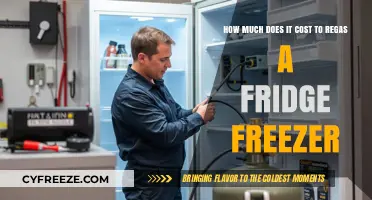 The Cost Breakdown: Re-gassing Your Fridge Freezer