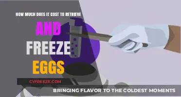 The Cost of Egg Retrieval and Freezing: A Comprehensive Guide