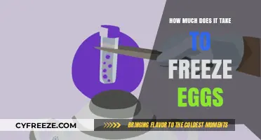 The Cost of Preserving Fertility: A Guide to Egg Freezing Expenses