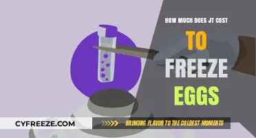 The Cost of Preserving Fertility: A Guide to Egg Freezing Expenses