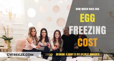 The Cost of Ovarian Egg Freezing: A Comprehensive Guide