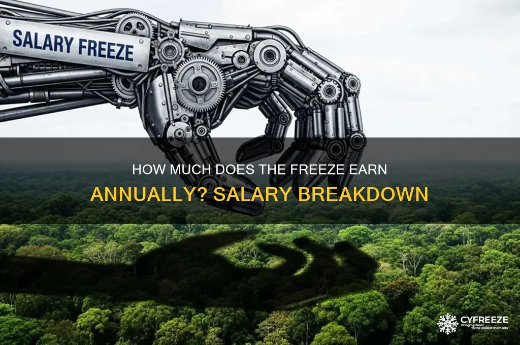 how much does the freeze get paid