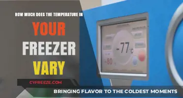 Freezer Temperature Fluctuations: Understanding Variability and Its Impact on Food