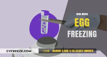 Considering Egg Freezing: Costs, Process, and Success Rates Explained