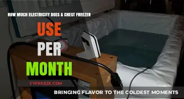 Monthly Electricity Consumption of a Chest Freezer: A Cost Analysis