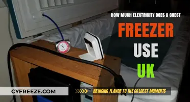 Chest Freezer Electricity Usage: UK Energy Costs and Savings Tips