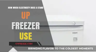 Stand Up Freezer Energy Consumption: Costs and Efficiency Explained
