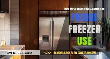 Decoding the Energy Consumption of American Fridge Freezers