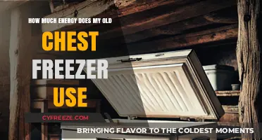 Old Chest Freezer Energy Usage: Uncovering Hidden Costs and Savings