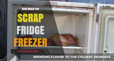 Eco-Friendly Disposal: How Much Can You Earn from Scrapping Your Old Fridge Freezer?
