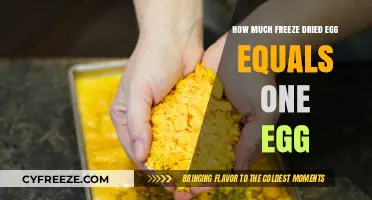 Egg-cellent Preservation: The Freeze-Dried Egg Equivalency Guide