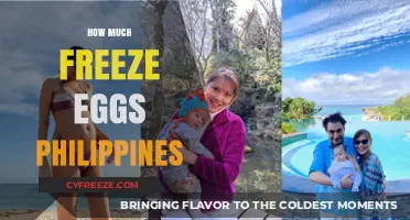 Egg-cellent Preservation: A Guide to Freezing Eggs in the Philippines