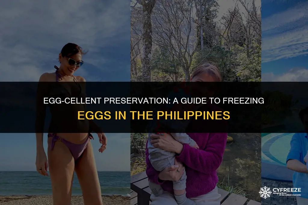 how much freeze eggs philippines
