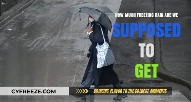 Freezing Rain Forecast: What to Expect and How to Prepare