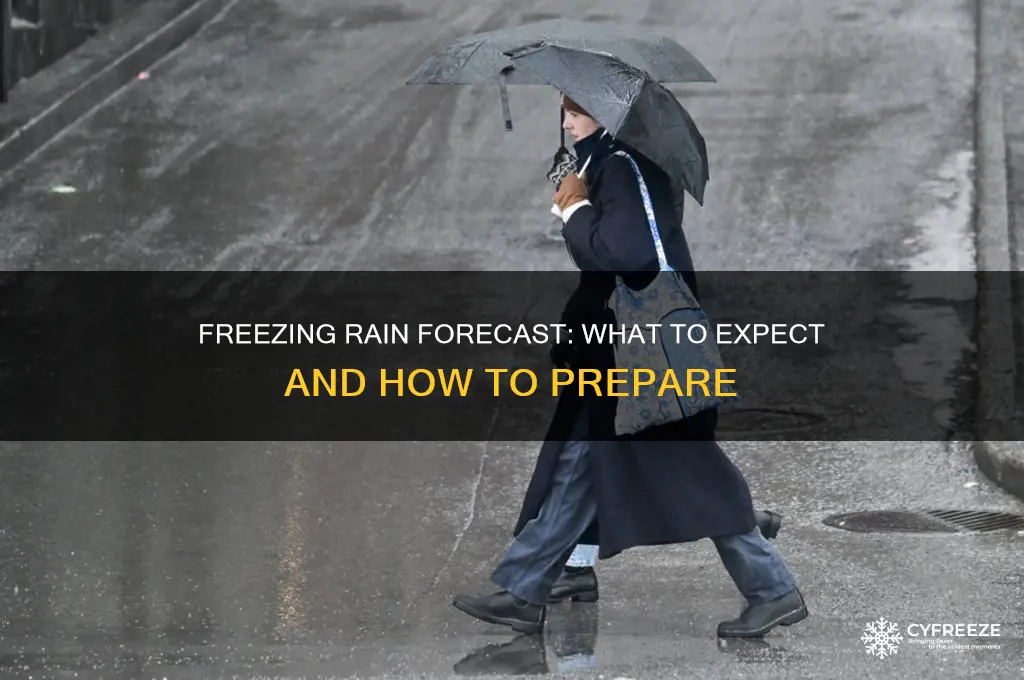how much freezing rain are we supposed to get