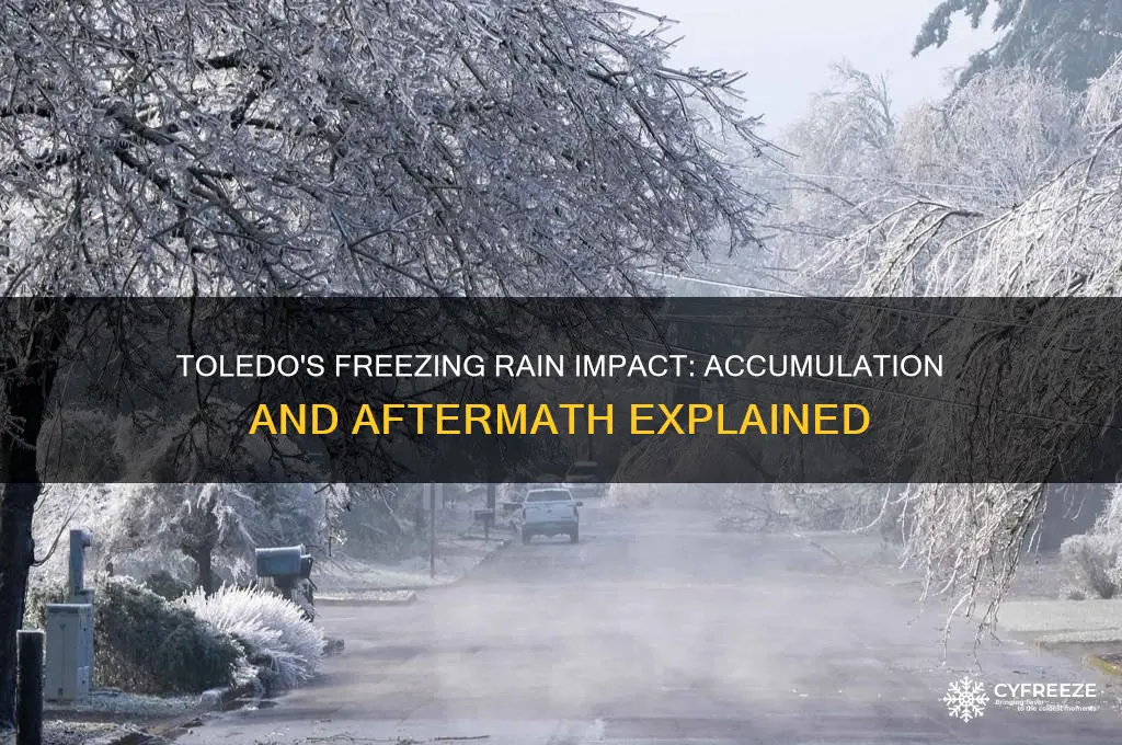 how much freezing rain did toledo get