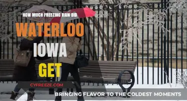 Waterloo Iowa Freezing Rain Accumulation: How Much Did It Get?