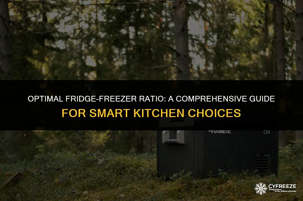 how much fridge freezer