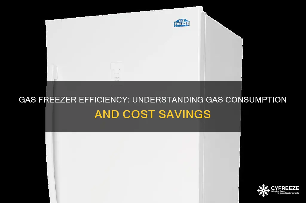 how much gas does a gas freezer use
