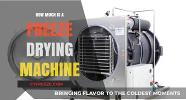 Exploring the Cost of Freeze Drying Machines: A Comprehensive Guide