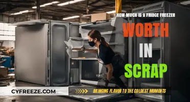 Unlocking the Value: How Much Is Your Old Fridge Freezer Worth in Scrap?