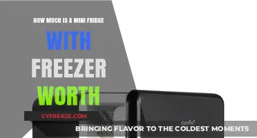 Compact Cooling: The Worth of a Mini Fridge with Freezer