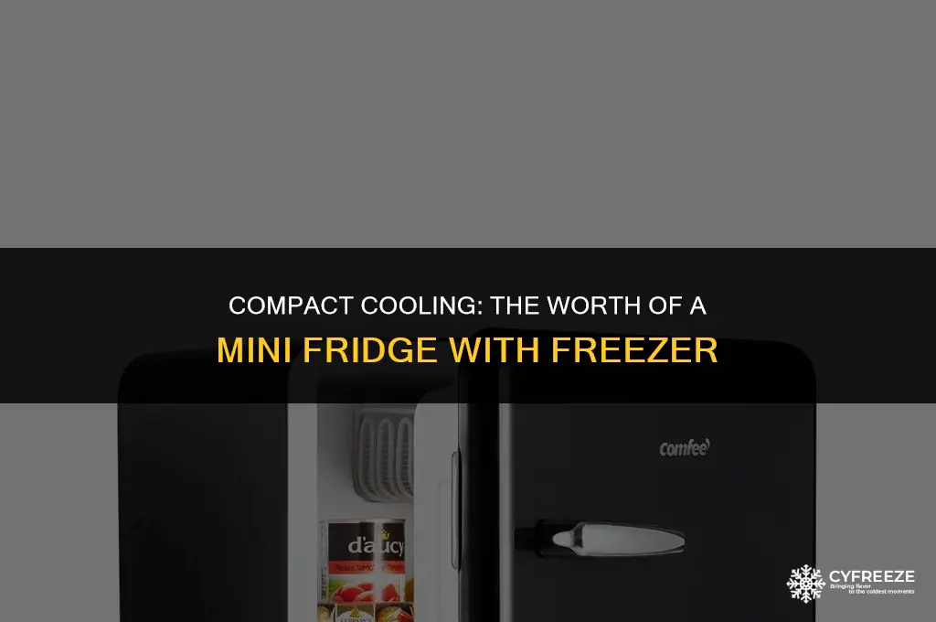 how much is a mini fridge with freezer worth