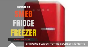 Exploring the Cost of Smeg Fridge Freezers: A Comprehensive Guide