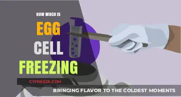 The Cost of Preserving Fertility: A Guide to Egg Cell Freezing