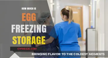 The Cost of Preserving Parenthood: Egg Freezing Storage Expenses Explained