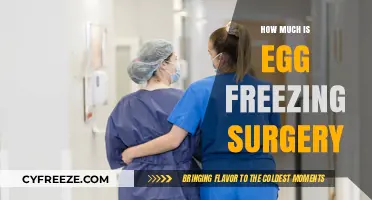 Considering Egg Freezing Surgery? Understanding the Costs Involved