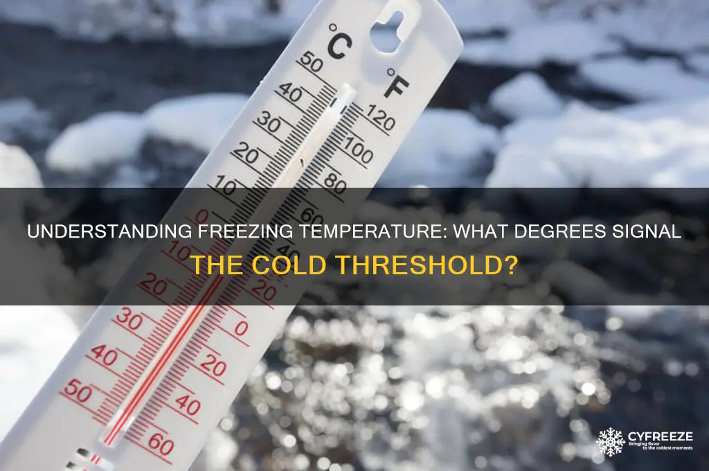 how much is freezing temperature