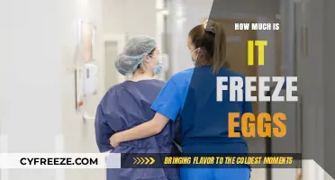 The Cost of Preserving Your Future: A Guide to Egg Freezing Expenses