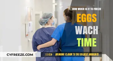 The Cost of Egg Freezing: A Comprehensive Guide