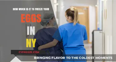Egg Freezing Costs in NY: A Comprehensive Guide