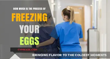 The Cost of Preserving Your Future: Egg Freezing Expenses Explained