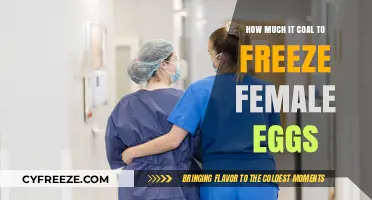 The Cost of Preserving Fertility: Freezing Female Eggs