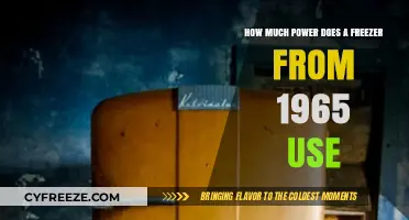 1965 Freezer Power Consumption: How Much Energy Does It Use?