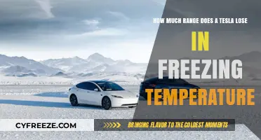 Tesla's Winter Range Loss: How Cold Weather Impacts Battery Performance