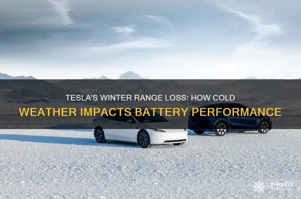 how much range does a tesla lose in freezing temperatures