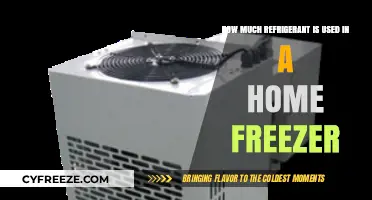 Refrigerant Usage in Home Freezers: Understanding the Optimal Amount