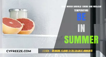 Optimal Turbo Air Freezer Temperature Settings for Summer Efficiency